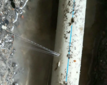 翠峦卫生间测漏水多少钱